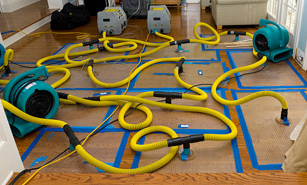 Professional Burst Pipe Water Damage technician working in Martindale, TX