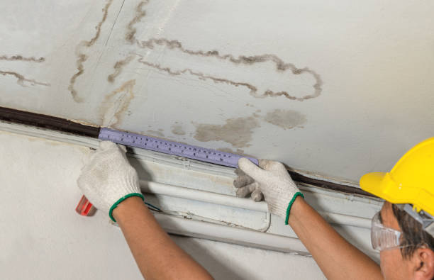 Affordable Water Damage Repair solutions in Martindale, TX